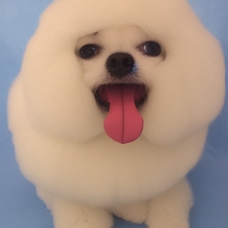 Pyhyjofaenaexiwaexohicu